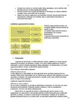 Referāts 'SIA Lattelekom', 12.