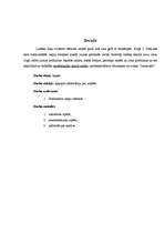 Konspekts 'Ziepes', 2.