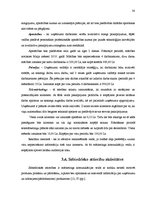 Diplomdarbs 'Mārketinga komunikāciju plāns autoservisa pakalpojumiem', 38.