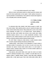 Diplomdarbs 'Mārketinga komunikāciju plāns autoservisa pakalpojumiem', 45.