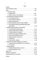 Diplomdarbs 'Cilvēkresursu politika valsts robežsardzē', 6.