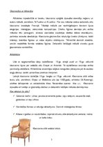 Referāts 'Klasicisms 19., 20.gadsimtā Latvijā un ārpus tās', 2.