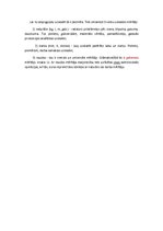 Konspekts 'Uzskaite, tās veidi un mērītāji', 2.