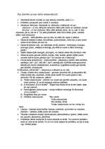 Konspekts 'Plāns prozas darba analīzei', 1.