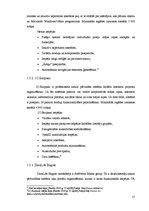 Diplomdarbs 'Mājas lapu izveide, izmantojot satura pārvaldību sistēmu rīkus', 17.