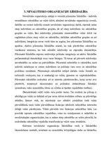 Referāts 'Nevalstisko organizāciju līdzdalība valsts pārvaldē', 11.