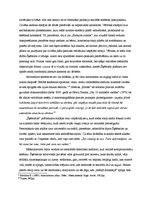 Eseja 'Rīgas poētiski dokumentālā stila elementi filmā "Šķērsiela"', 4.