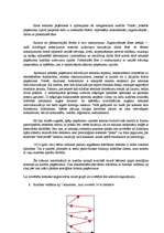 Referāts 'Futbola trenera diplomprojekts', 23.