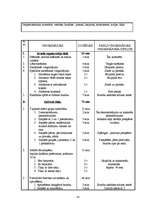 Referāts 'Futbola trenera diplomprojekts', 41.