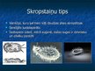 Prezentācija 'Vienšūņi. Skropstaiņu tips', 5.