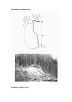 Konspekts 'Tiešās mērīšanas paņēmiens novadpētniecībā', 3.