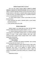 Referāts 'Reklāmas kampaņa koncertizrādei', 5.