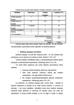 Referāts 'Reklāmas kampaņa koncertizrādei', 9.