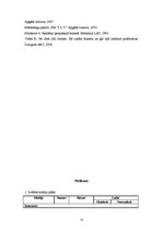 Referāts 'Reklāmas kampaņa koncertizrādei', 14.