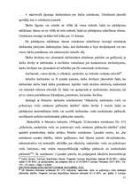 Diplomdarbs 'Darba līguma izbeigšanas tiesiskais pamatojums', 31.