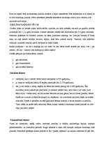 Referāts 'Bērnu - kreiļu adaptācija mācībām skolā', 5.