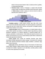 Referāts 'Mūsdienu menedžmeta problēmu risinājumi menedžmenta teorijās', 6.