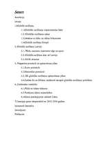 Referāts 'Globālā sasilšana ', 2.