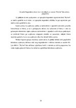 Referāts 'Mārketinga pasākumu analīze klientu piesaistei bārā "Skyline"', 28.