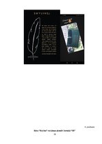 Referāts 'Mārketinga pasākumu analīze klientu piesaistei bārā "Skyline"', 38.