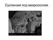 Prezentācija 'Суспензии', 16.