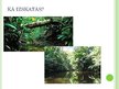 Prezentācija 'Tropu meži', 5.