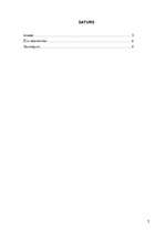 Konspekts 'Ēnu ekonomika', 2.