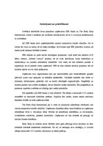 Referāts 'Korporatīvā sociālā atbildība AS SEB bankā un "The Body Shop International plc"', 13.