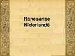 Prezentācija 'Renesanse Nīderlandē', 8.