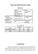 Biznesa plāns 'SIA "Automiga" ', 6.