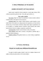 Biznesa plāns 'SIA "Automiga" ', 8.