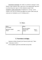 Biznesa plāns 'SIA "Automiga" ', 10.