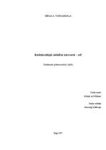 Referāts 'Intelektuālajai zādzībai internetā - nē!', 1.