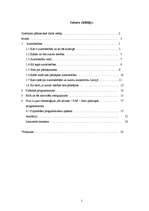 Referāts 'Intelektuālajai zādzībai internetā - nē!', 2.