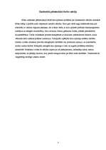 Referāts 'Intelektuālajai zādzībai internetā - nē!', 3.