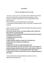 Referāts 'Intelektuālajai zādzībai internetā - nē!', 6.