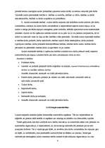 Referāts 'Intelektuālajai zādzībai internetā - nē!', 9.