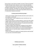 Referāts 'Intelektuālajai zādzībai internetā - nē!', 13.