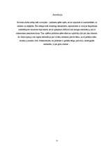 Referāts 'Intelektuālajai zādzībai internetā - nē!', 22.