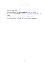 Referāts 'Intelektuālajai zādzībai internetā - nē!', 23.