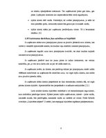 Referāts 'Klientu lojalitāte un tās veicināšana uzņēmumā "airBaltic"', 6.