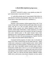 Referāts 'Klientu lojalitāte un tās veicināšana uzņēmumā "airBaltic"', 8.