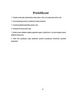 Referāts 'Klientu lojalitāte un tās veicināšana uzņēmumā "airBaltic"', 16.