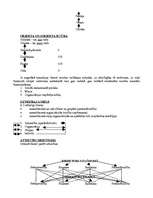Konspekts 'Vadības teorija', 3.