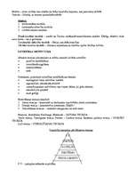 Konspekts 'Vadības teorija', 13.