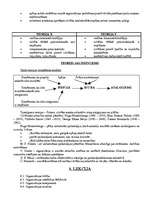 Konspekts 'Vadības teorija', 15.