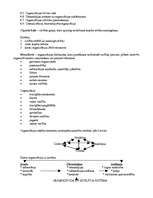 Konspekts 'Vadības teorija', 16.