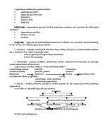 Konspekts 'Vadības teorija', 17.