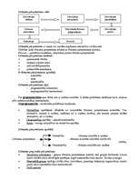 Konspekts 'Vadības teorija', 24.