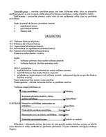 Konspekts 'Vadības teorija', 25.